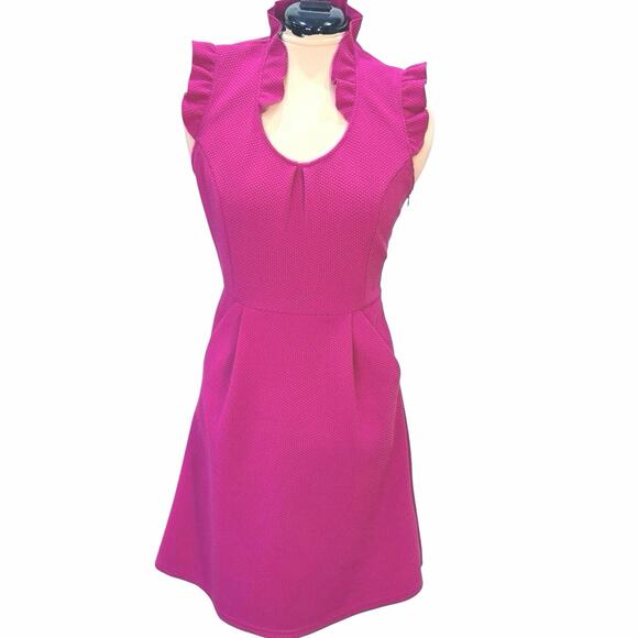 Tabitha Dresses & Skirts - Anthropologie Tabitha Magenta Pink Ruffle Trim Fit and Flare Dress Size 4